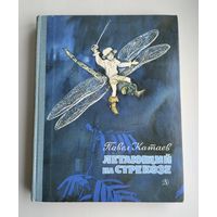 Катаев Павел. Летающий на стрекозе.