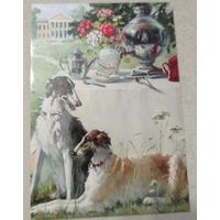 Посткроссинг. Открытка "Две борзые", худ.Мария Павлова (10х15). Прошла почту. Художественные марки, чёткий штемпель.