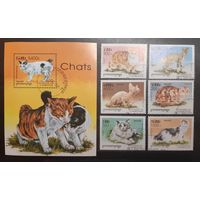Камбоджа. 1998 год. Фауна. Кошки (767)