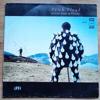 Pink Floyd - Delicate Sound Of Thunder пластинка номер 2
