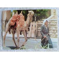 Этнография. Израиль, Иерусалим. Уличная сцена в Старом городе