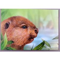 Бобренок. Из серии "Детская филателия". Открытка