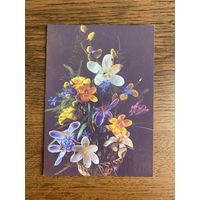 Открытка. Цена за 1 шт.