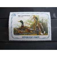 Гаити.  Птицы Адюбон.  1975 г. см. условие.