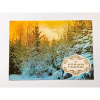 С новым годом! Подписанная. 1975 года. Костенко. 461.