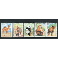 Куба - 1997 - Фауна - (незначит. пятно на клее у ном. 90) - [Mi. 3996-4000] - полная серия - 5 марок. MNH.  (Лот 38JQ)-T3P33