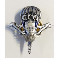 Эмблема ССО с Маргеловым