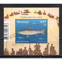 Морская фауна Словения 2013 год 1 блок