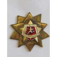 Нагрудный знак. "Воин-спортсмен". Дембельский вариант. Дембельское творчество. Ручная работа. Армия. СССР. м