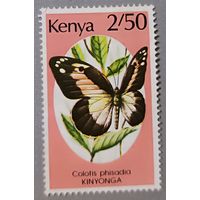 Кения, бабочка