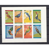 Фауна. Птицы. Дхуфар (Оман). 1974. 1 малый лист б/з. Michel N (- е)