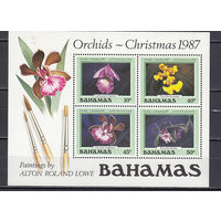 Флота. Орхидеи. Багамы. 1987. 1 блок. Michel N бл52 (20,0 е)