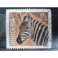 Родезия, 1978. Стандарт. Зебра