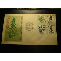 Испанская Сахара 1967 КПД, Флора, цветы