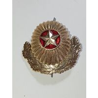 Общевойсковая офицерская кокарда Вооруженных Сил Республики Беларусь. С рубля .