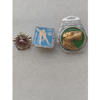 Знаки Спорт