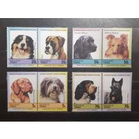 Тувалу. Фауна. Собаки (787)