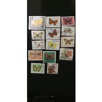 Лот бабочек разные 14шт
