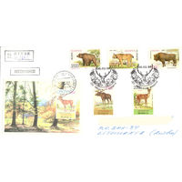 Почтовый конверт