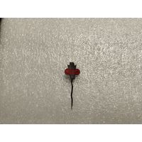 Футбольный клуб