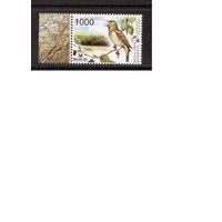 Беларусь-2007,(Мих.662) **  , Фауна, Птицы, Соловей(1)