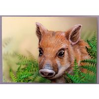 Поросенок. Из серии "Детская филателия". Открытка