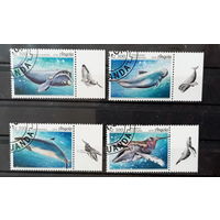 АНГОЛА 2018 ФАУНА ЖИВОТНЫЕ СЕРИЯ СТО