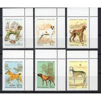 Таджикистан 2006. Фауна . Собаки (433)