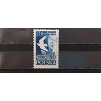 РАСПРОДАЖА ПОЛЬША 1954г. Гаш.