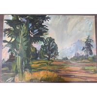 Картина Басов Б. М. Картон Масло 85*60 1971 г