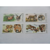 Буркина-Фасо, леопарды