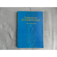 Софиология Богоцивилизации. Словарь духовных символов. 2004 г.