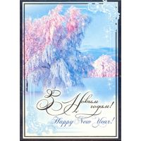 Беларусь ДМПК 2008 С Новым годом !