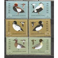 ФФ1 Польша 1985 Птицы