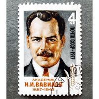 Марка СССР 1977 год Н.И.Вавилов