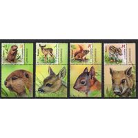Беларусь 2021. Фауна зверята 4марки+купоны (1119)