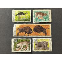 1969 СССР. Природный заповедник "Беловежская пуща". Полная серия