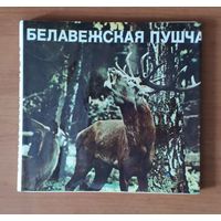 Белавежская пушча. Беловежская пуща. Фотоальбом