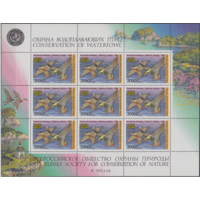 Россия 1995, Утки, Всероссийское общество охраны природы, ФАУНА,  MNH