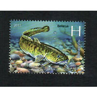 Беларусь. 2011. Рыбы. Серия