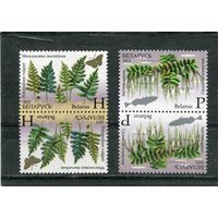 Беларусь 2012. Флора. Папоротники. Тет-беш