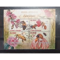 Сен-Томе и Принсипи. 2013 год. Фауна. Пчёлы (1285)