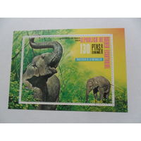 Экваториальная Гвинея, слоны