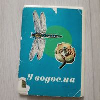 Набор открыток У Водоема Выпуск 1 Полный 16 открыток Художник Воронцова