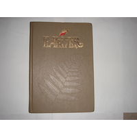 Памяць.Касцюковiцкi раен.