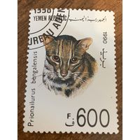 Йемен 1990. Домашние кошки. Prionailurus bengalensis. Марка из серии