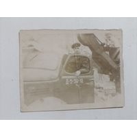 Фото в коллекцию