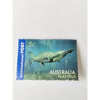 Австралия  2006