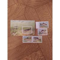 Беларусь блок и марки 1997 г. Рыбы.