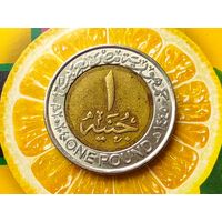 Египет. 1 фунт 2024. Нечастая монета! Торг.